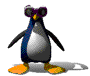 PingViN